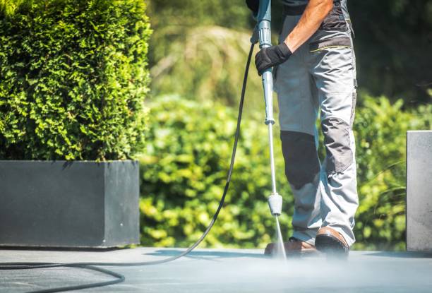 Best Solar Panel Cleaning  in Crystal Lake, IL