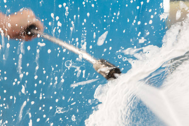Best Dumpster Area Cleaning  in Crystal Lake, IL